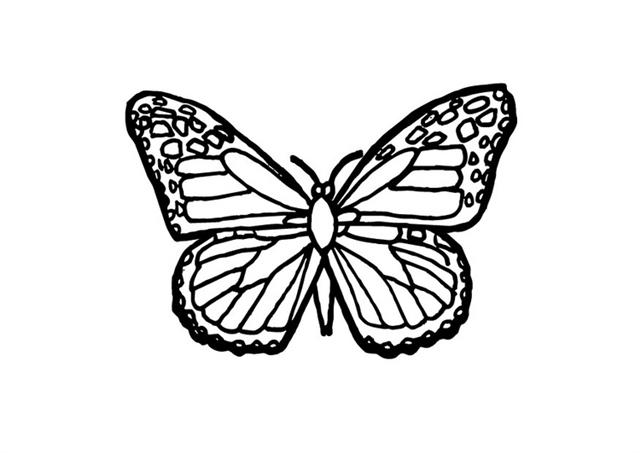 Butterfly Coloring Pages 12